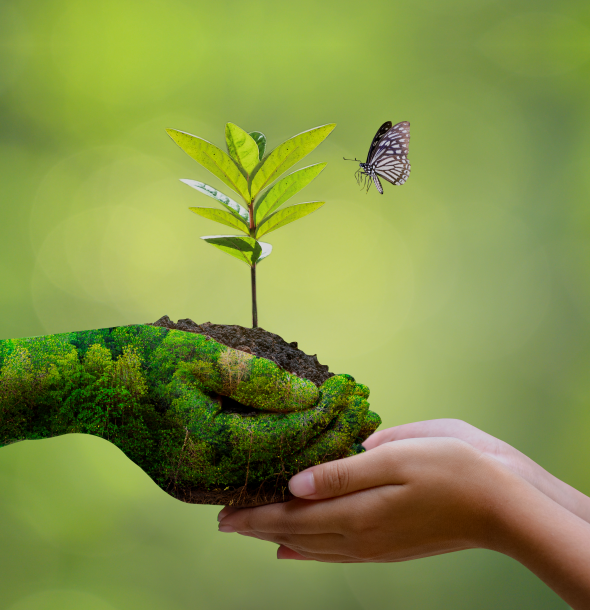 Blueskyproperties Developing Sustainable