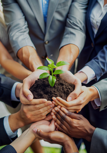 Blueskyproperties Growing Together